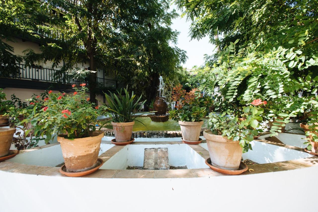 Appartement Aitana'S Retreat With Charming Garden à Séville Extérieur photo